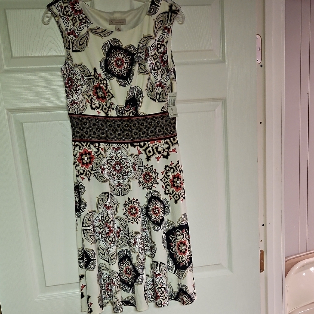 Floral Print Sleeveless Dress